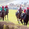 Silbernes Pferd in Hoppegarten: Zweiter Gruppesieg für den Kallisto-Sohn Aff un zo mit Maxim Pecheur im Sattel für Trainer Markus Klug und den Besitzer Holger Renz. ©galoppfoto - Frank Sorge