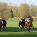 Am Ende gewinnt der 27:10-Favorit mit Filip Minarik leicht mit  2½ Längen vor Cubanita und Earl of Tinsdal. Foto: Dr. Jens Fuchs