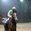 Jarahi beim Aufgalopp vor seinem ersten Erfolg . Foto: Dr. Jens Fuchs