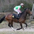 Jarahi beim Aufgalopp, Krefeld 20.03.2016 (Foto: Dr. Jens Fuchs)