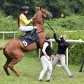 Frisch war Torquator Tasso schon vor dem Start. www.galoppfoto.de - JJ Clark