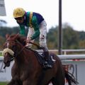 Der französische Jockey Eddy Hardouin ist der Mann für die großen Treffer, gewinnt mit Kaldera das 130. Deutsche St. Leger. Foto: Dr. Jens Fuchs