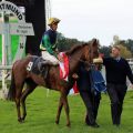 Lars-Wilhelm Baumgarten holt für den Stall Torjäger die klassische St. Leger-Siegerin Kaldera vom Dortmunder Geläuf. Foto: Dr. Jens Fuchs