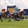 Ein leichter Sieg nach langen 2800 Metern für die Sinndar-Tochter Kaldera aus Zoppenbroicher Zucht mit Eddy Hardouin. www.galoppfoto.de - Sabine Brosein Ausflug, der sich gelohnt hat: Die von Henri-Alex Pantall in Frankreich trainierte Kenhope gewann mit Aurélien Lemaitre den Großen Sparkassenpreis. Foto: Dr. Jens Fuchs