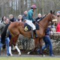 Kazzira im Führring, Krefeld 20.3.1016 (Foto: Dr. Jens Fuchs)