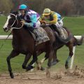 Kitaneso siegt mit Tommaso Scardino beim Dortmunder Sandbahnfinale 2019-2020. www.galoppfoto.de - Stephanie Gruttmann