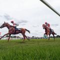 Lordano verweist im Großem Hansa-Preis Tünnes auf Platz zwei. www.galoppfoto.de - Sabine Brose