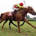 Lord Dubai und Filip Minarik mit Riesenschritten auf dem Weg zum Sieg. www.galoppfoto.de - Sabine Brose