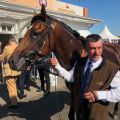 Macht das Doppel-Doppel perfekt - für den Deckhengst Soldier Hollow und den Trainer Markus Klug, die beide die beiden Erstplatzierten stellen: Gestüt Park Wiedingens Destino im Absattelring. Foto: Dequia 