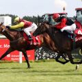 Macht's wie der großen Bruder Eric vor einem Jahr: Gabriele Gauls Eastsite One mit Sabrina Wandt gewinnt beim Debut in Bad Doberan. www.galoppfoto.de - Francis Bandermann