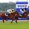 Gleich beim ersten Start im Zweijährigen-Rennen erfolgreich: Majestic Hope gewinnt mit Eduardo Pedroza in Hannover. www.galoppfoto.de - Sabine Brose