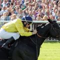 Meandre unter Weltklassejockey Maxime Guyon im 122. Grossen Preis von Berlin. www.galoppfoto.de - Sabine Brose