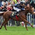 Miss Coral legt in Hoppegarten ihre Maidenschaft ab. www.galoppfoto.de - Brose