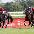 Fernziel St. Leger: Monteverdi gewinnt schon einmal in Dortmund. www.galoppfoto.de - Stephanie Gruttmann