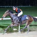 Moscatello gewinnt mit Marc Lerner in Neuss (Foto: Dr. Jens Fuchs)