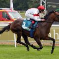 Nadito legt beim zweiten Start seine Maidenschaft ab. www.galoppfoto - Sabine Brose