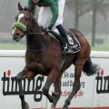 Namaron holt sich das finale Zweijährigen-Rennen der Saison im Handgalopp. www.galoppfoto.de - Stephanie Gruttmann