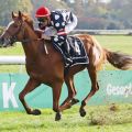 Ein Pferd mit Zukunft: Nerion gewinnt völlig souverän. www.galoppfoto.de - Sandra Scherning 