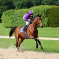 Nutan und Andrasch Starke beim Aufgalopp. Foto: Dr. Jens Fuchs