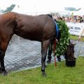 Der Derbysieger Nutan mit Gisela Schiergen. Foto: Dr. Jens Fuchs