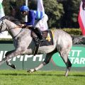 Parigi gewinnt mit Tomas Roman den Ausgleich II am 14.09.24 in Hoppegarten. ©galoppfoto - Sabine Brose