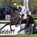 Am Ende war es leicht: Peace in Motion gewinnt den "Grand Prix" in Düsseldorf. Foto: Dr. Jens Fuchs