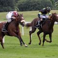 Mit Prairie Snake (links) gelingt Sibylle Vogt im Münchner Hauptrennen, dem Preis der Trainingszentrale München, einer von insgesamt drei Tagestreffern in München. ©galoppfoto - WiebkeArt