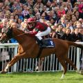 Rollte das Feld von hinten auf und gewinnt in überzeugender Manier: Prince Gibraltar mit Fabrice Veron. Foto: Dr. Jens Fuchs