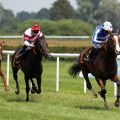 Royal Youmzain ist mit Eduardo Pedroza im Ittlingen Derby-Trial überlegen ... Foto: Dr. Jens Fuchs