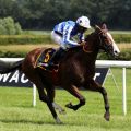 Jaber Abdullahs Royal Youmzain auf dem Weg zum Sieg im Ittlingen-Derby-Trial. Foto: Dr. Jens Fuchs