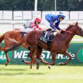 Schützenzauber bleibt auch beim zweiten Start ungeschlagen. www.galoppfoto.de - WiebkeArt