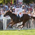 Seit 2000 blieben erst vier Siege in der Goldenen Peitsche im Land, auch 2019 siegt mit Royal Intervention eine Gaststute aus England. www.galoppfoto.de - Sarah Bauer