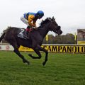 Sicherer Sieg für den Kallisto-Sohn Nordvulkan mit Alexander Piesch und ein weiterer Treffer für Roland Dzubasz im Kampf ums Trainer-Championat. www.galoppfoto.de - Frank Sorge