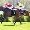 Sorgte als längster Außenseiter für die Überraschung -  Gemici gewinnt mit Szcezepan Mazur über die Meile in Hoppegarten. ©galoppfoto - Sabine Brose