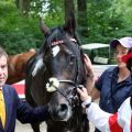 Sound Check mit Trainer Peter Schiergen und Jockey Andreas Suborics (Foto: Dr. Jens Fuchs)