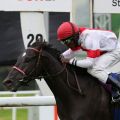 Stanley gewinnt mit Eduardo Pedroza im Ausgleich II in Dortmund. Foto: Dr. Jens Fuchs