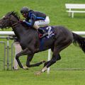 Stürmen zum ersten Gruppe-Sieg (nach fünf Platzierungen) - Empire Storm und Eduardo Pedroza. www.galoppfoto.de - Frank Sorge