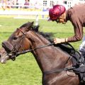 Erster Gruppe-Treffer für den Trainer Henk Grewe in Köln: Taraja siegt mit Bauyrzhan Murzabayev für den Rennstall Gestüt Hachtsee in der Mehl-Mülhens-Trophy. www.galoppfoto.de - Sabine Brose