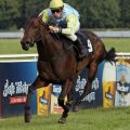 Timara mit Stephen Hellyn gewinnt das BBAG-Auktionsrennen Dresden und sorgte für einen Heimsieg von Trainer Stephan Richter und dem Stall Oberlausitz. www.galoppfoto.de