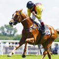 Verabschiedet sich auf der Zielgerade von der Konkurrenz: Torquator Tasso gewinnt mit Rene Piechulek den Hansa Preis, Gr. II. ©galoppfoto - Jimmy Clark