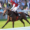 Kam mit elf Siegen im Gepäck aus Polen und sorgte nun auf Gruppe-Parkett in Baden-Baden für Furore: Va Bank gewinnt mit Martin Seidl den 61. Preis der Sparkassen Finanzgruppe. www.galoppfoto.de  - Frank Sorge