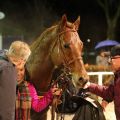 Beginnt das Rennjahr 2015 so wie er das von 2014 beendet hat: Victorious gewinnt mit Alexander Pietsch im Sattel und zur Freude seiner Besitzer vom Stall Manhattan. Foto: Dr. Jens Fuchs