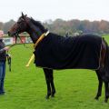 Vif Monsieur und seine Betreuerin Renate Beltermann. Foto: Dr. Jens Fuchs