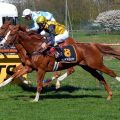 Ein typischer Adlerflug: Waldadler gewinnt in Bremen. www.galoppfoto.de - Kira Kaschek