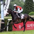 Vorerst auf der Pole-Position: Neuer alter Derbyfavorit Wintertraum nach seinem Sieg mit Michal Abik im Merkur Spielbanken Derby Trial, ©Dr. Jens Fuchs 