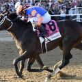 Fierceness setzt sich gegen Thorpedo Anna durch. Foto: NYRA/Chelsea Durand