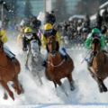 Zweiter Tag beim "White Turf Meeting" in St. Moritz Foto: swissimage.ch