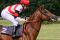 Lindentree mit Yann Lerner beim Aufgalopp zum Oppenheim Union-Rennen 2010. Foto: Sandra Scherning