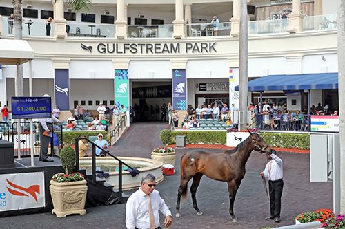 1,2 Millionen Dollar gab es für diese Bolt d'Oro-Stute Foto: Fasig-Tipton