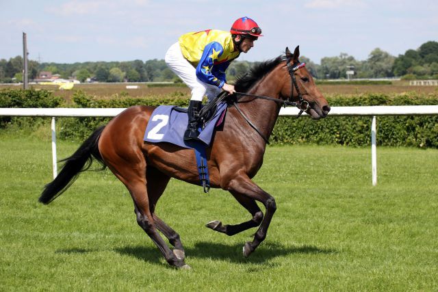 Swingdream - hier mit Jozef Bojko in Baden-Baden - geht mit guten Chancen in den BMW Preis Düsseldorf. Foto: www.duesseldorf-galopp.de - www.klatuso.com - Klaus-Jörg Tuchel 